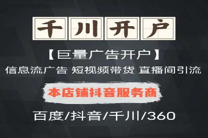 百度竞价推广在电商领域的赚钱案例